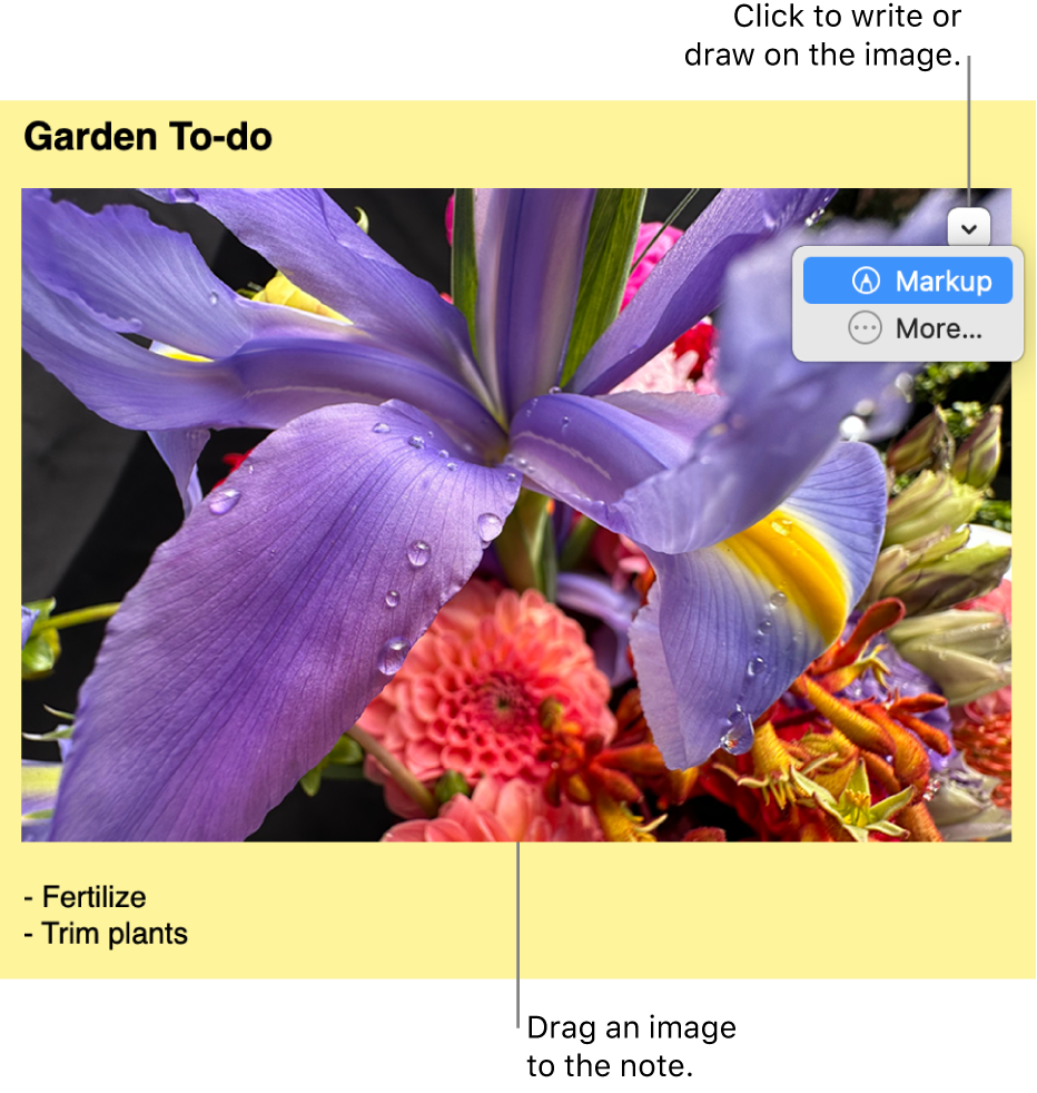 An open sticky note with an image.