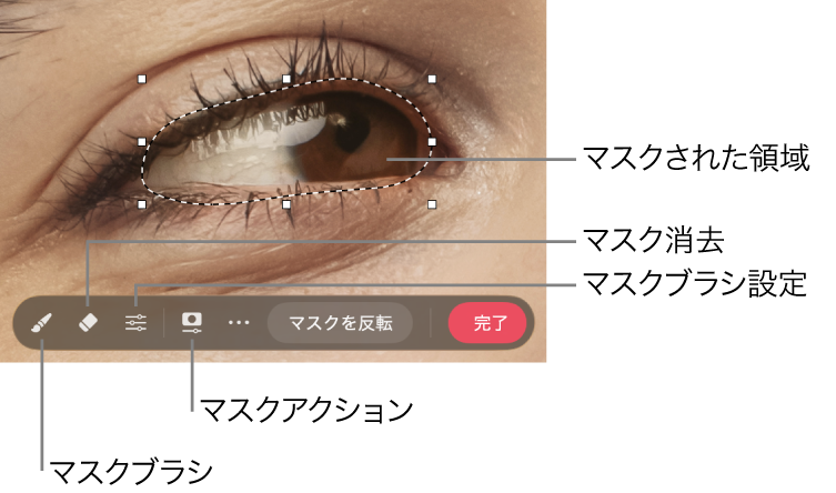 写真に適用されているビットマップマスク。ツールバーが表示されています。