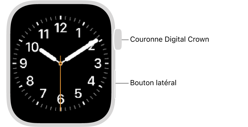 L’avant de l’Apple&nbsp;Watch, avec la Digital Crown en haut à droite de la montre et le bouton latéral en bas à droite.
