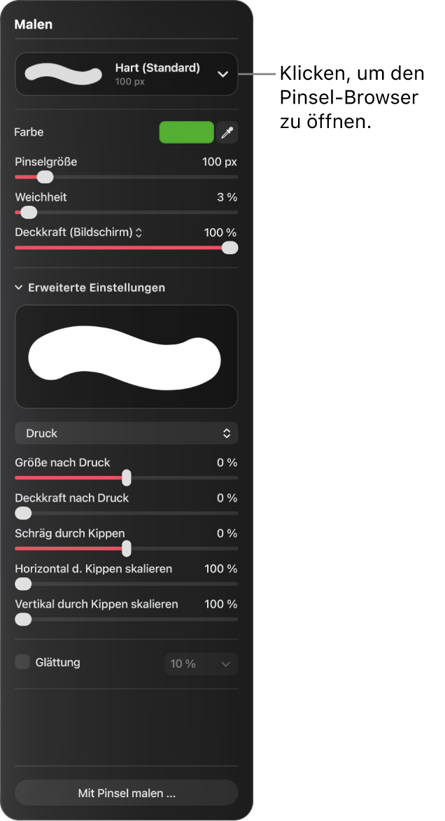 Der Bereich „Malen“ mit Steuerelementen für Pinselgröße, Weichheit, Deckkraft und mehr.