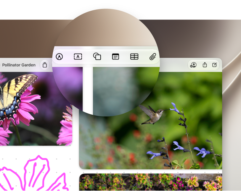 An open Freeform board with the tools at the top emphasized.