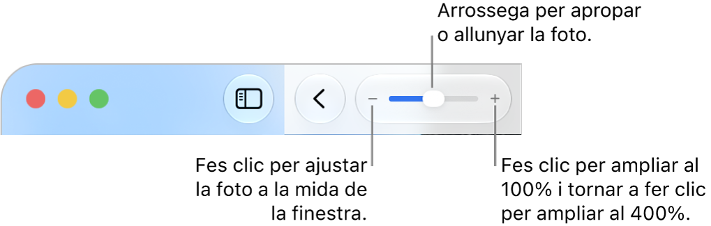 La barra d’eines que mostra els controls de zoom.