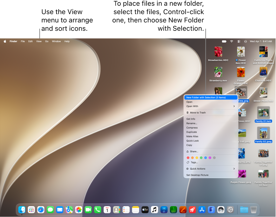 The Mac desktop showing the wallpaper, menu bar at the top, and Dock at the 