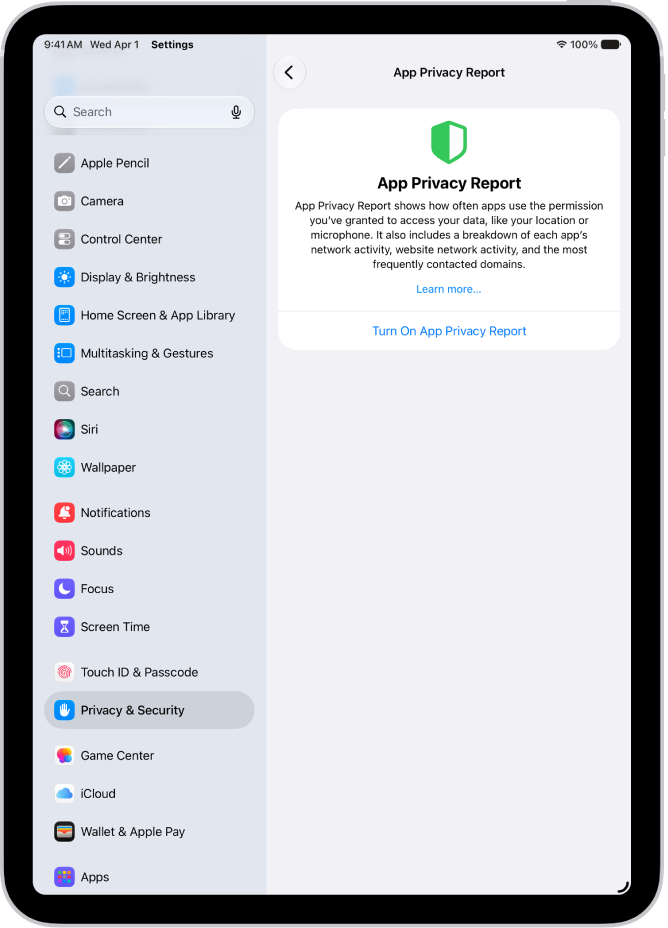 App 隐私报告屏幕，在其中你可以打开报告以显示 App 使用你所授予许可的频率及其网络活动。