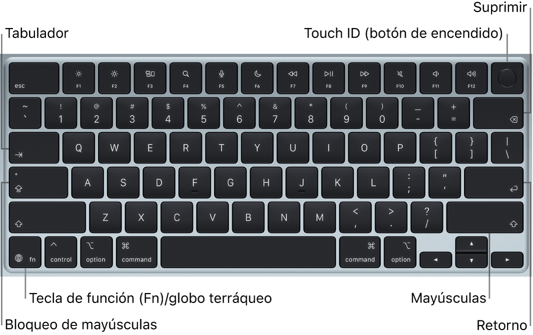 Teclado del MacBook&nbsp;Air, con el botón Touch&nbsp;ID en la parte superior derecha, la tecla de función en la esquina inferior izquierda y las teclas Tabulador, Bloq&nbsp;Mayús, Mayúsculas, Suprimir y Retorno.