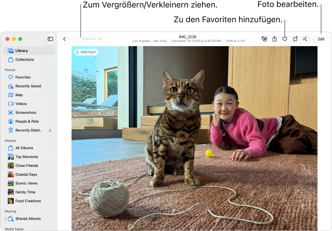 Das Fenster „Fotos“ mit einem vergrößert dargestellten Foto rechts und einer Reihe von Miniaturen darunter. Die Symbolleiste oben umfasst den Zoomregler und die Tasten „Favorit“ und „Bearbeiten“.