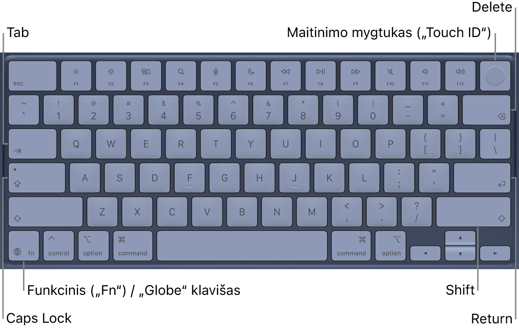 „MacBook&nbsp;Neo“ klaviatūra: viršutiniame dešiniajame kampe yra sujungti maitinimo mygtukas ir „Touch&nbsp;ID“ mygtukas, apatiniame kairiajame kampe – klavišas „Function“, o klaviatūros centre – klavišai „Tab“, „Caps&nbsp;Lock“, „Shift“, „Delete“ ir „Return“.
