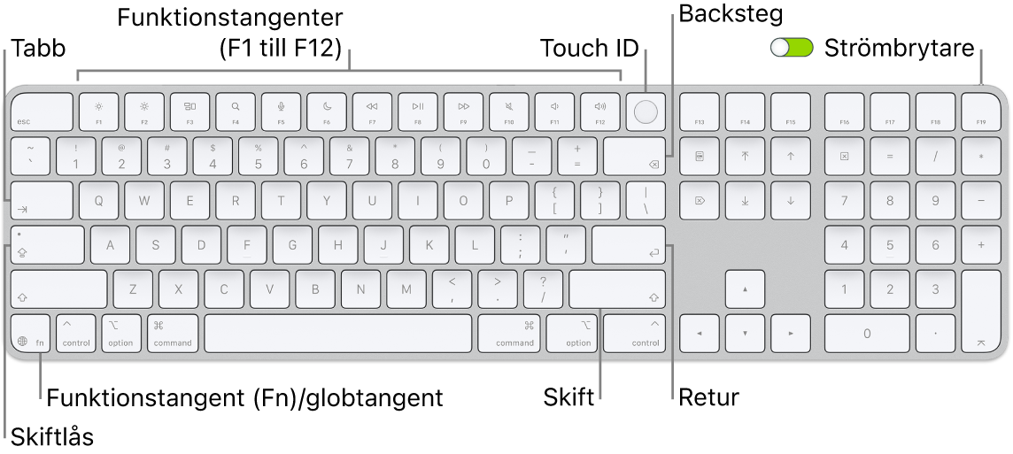 Magic Keyboard med Touch ID och numeriskt tangentbord visar raden med funktionstangenter och Touch ID längs överkanten och funktions (Fn)-/globtangenten till höger om backstegstangenten.