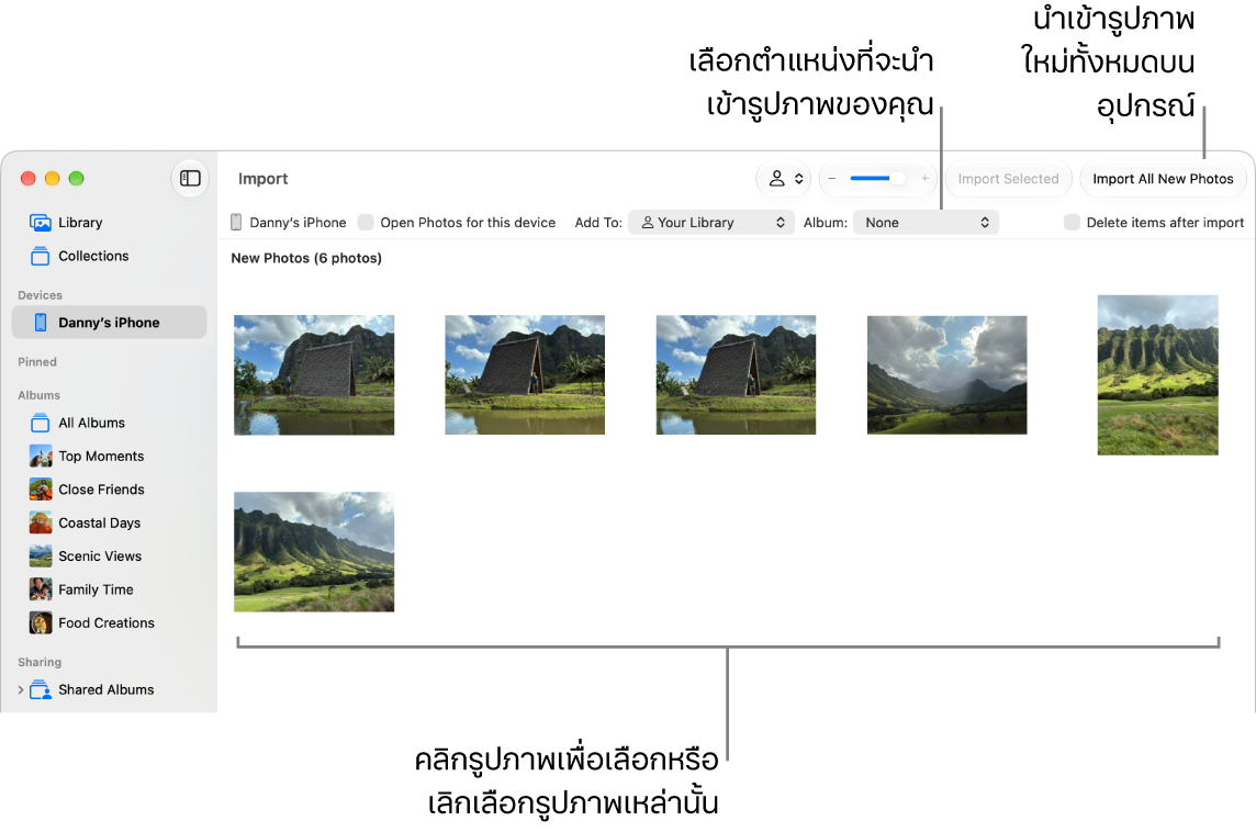 หน้าต่างนำเข้าในแอปรูปภาพบน Mac ที่แสดงรูปภาพใหม่บนอุปกรณ์ ที่กึ่งกลางด้านบนสุดคือเมนูอัลบั้มที่แสดงขึ้น ปุ่มนำเข้าที่อยู่ที่ด้านขวานบนสุด