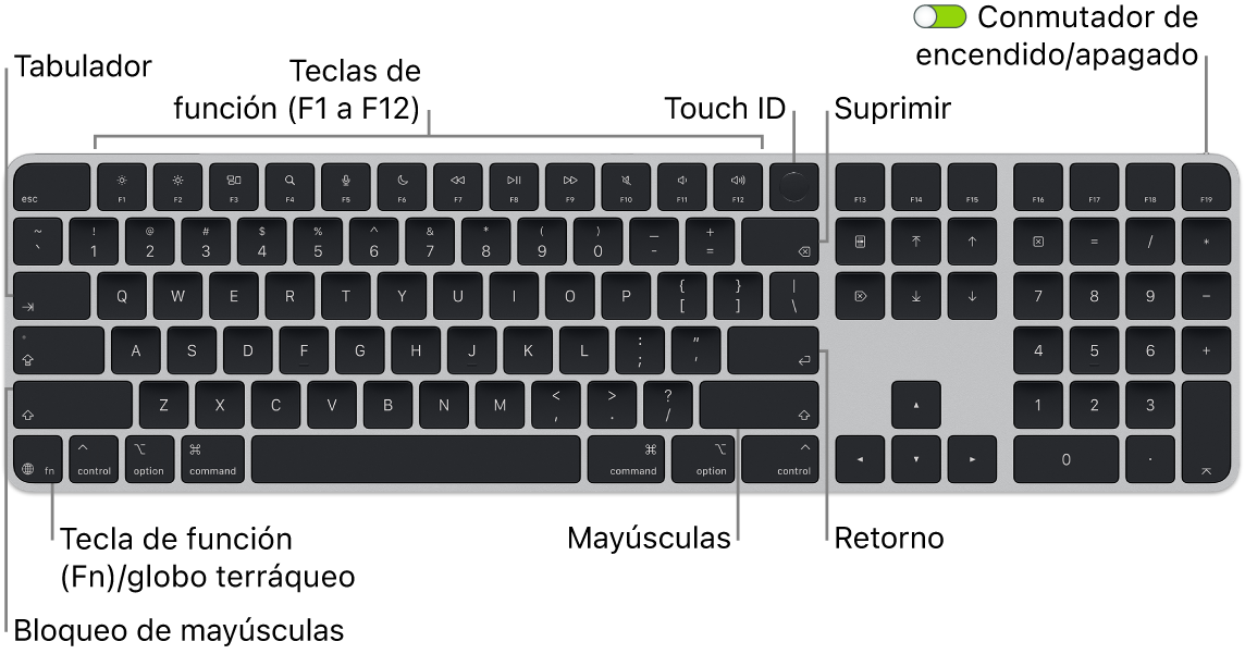 Magic&nbsp;Keyboard con Touch&nbsp;ID y teclado numérico, con la fila de teclas de función y Touch&nbsp;ID en la parte superior, y la tecla del globo terráqueo o función (Fn) en la parte inferior izquierda.