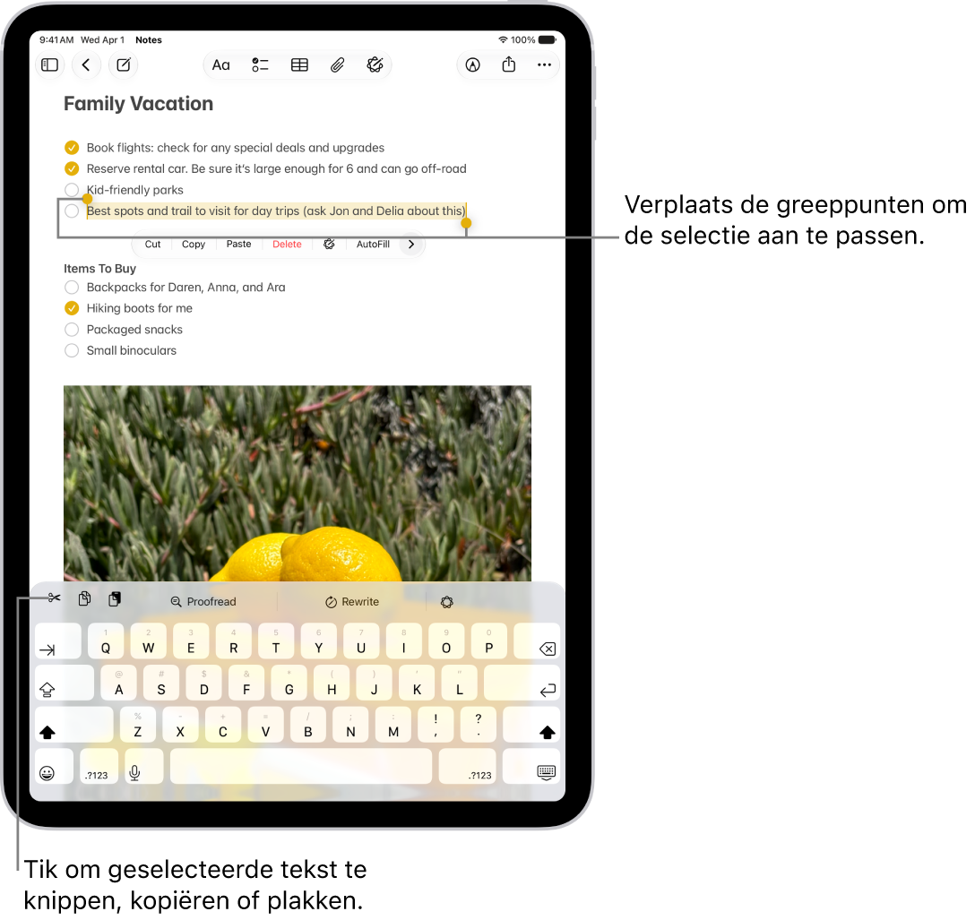 Tekst is geselecteerd in een notitie in de Notities-app. Boven de geselecteerde tekst staat een menu met de knoppen 'Knip', 'Kopieer' en 'Plak'. De geselecteerde tekst is gemarkeerd, met aan beide uiteinden greeppunten om de selectie aan te passen.