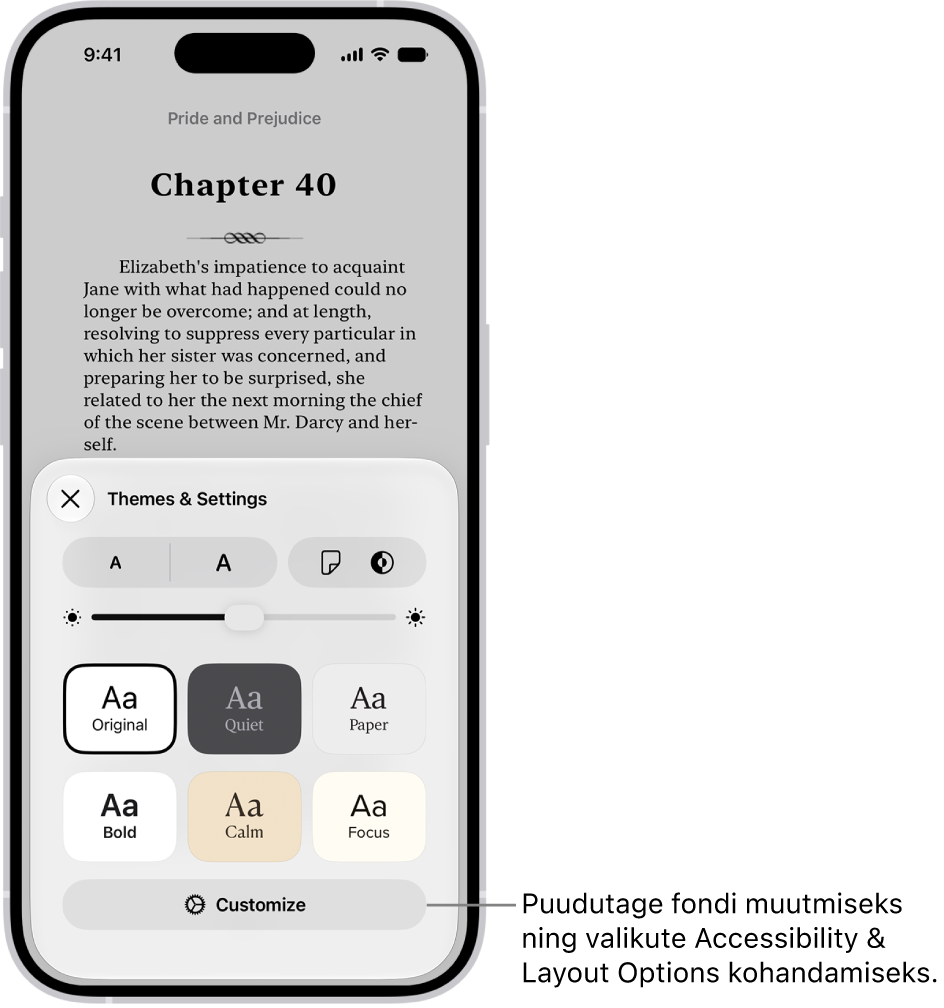 Rakenduses Books kuvatakse raamatu lehekülge. Valikutes Themes & Settings kuvatakse juhikuid fondi suuruse, kerimisvaate, lehekülje keeramise stiili, heleduse ja fondi stiilide valimiseks.