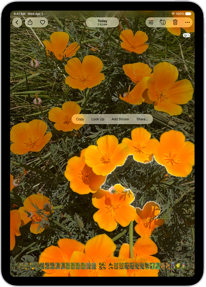 Une photo est ouverte dans la photothèque de l’app Photos. Le contour du sujet au centre de la photo est affiché et les boutons Copier, Recherche visuelle, Ajouter un autocollant et Partager s’affichent au-dessus.