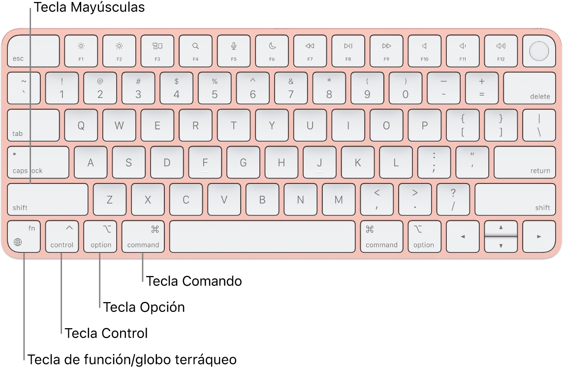 Un teclado Magic&nbsp;Keyboard con etiquetas para las teclas Mayús, Control, Opción, Comando y Función/Globo.