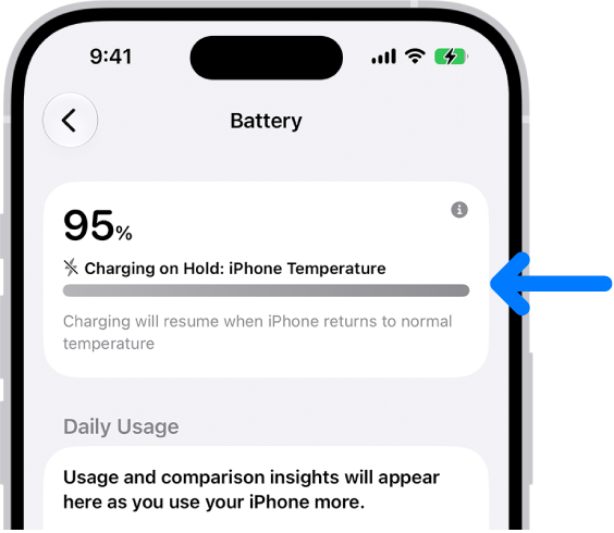 The charging information card in iPhone Battery settings. The card shows the battery at 95% with the message “Charging on Hold: iPhone Temperature.” A note below indicates that charging will resume when the iPhone temperature returns to normal.