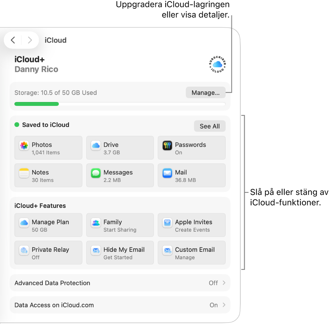 iCloud-inställningar för de vanligaste funktionerna.