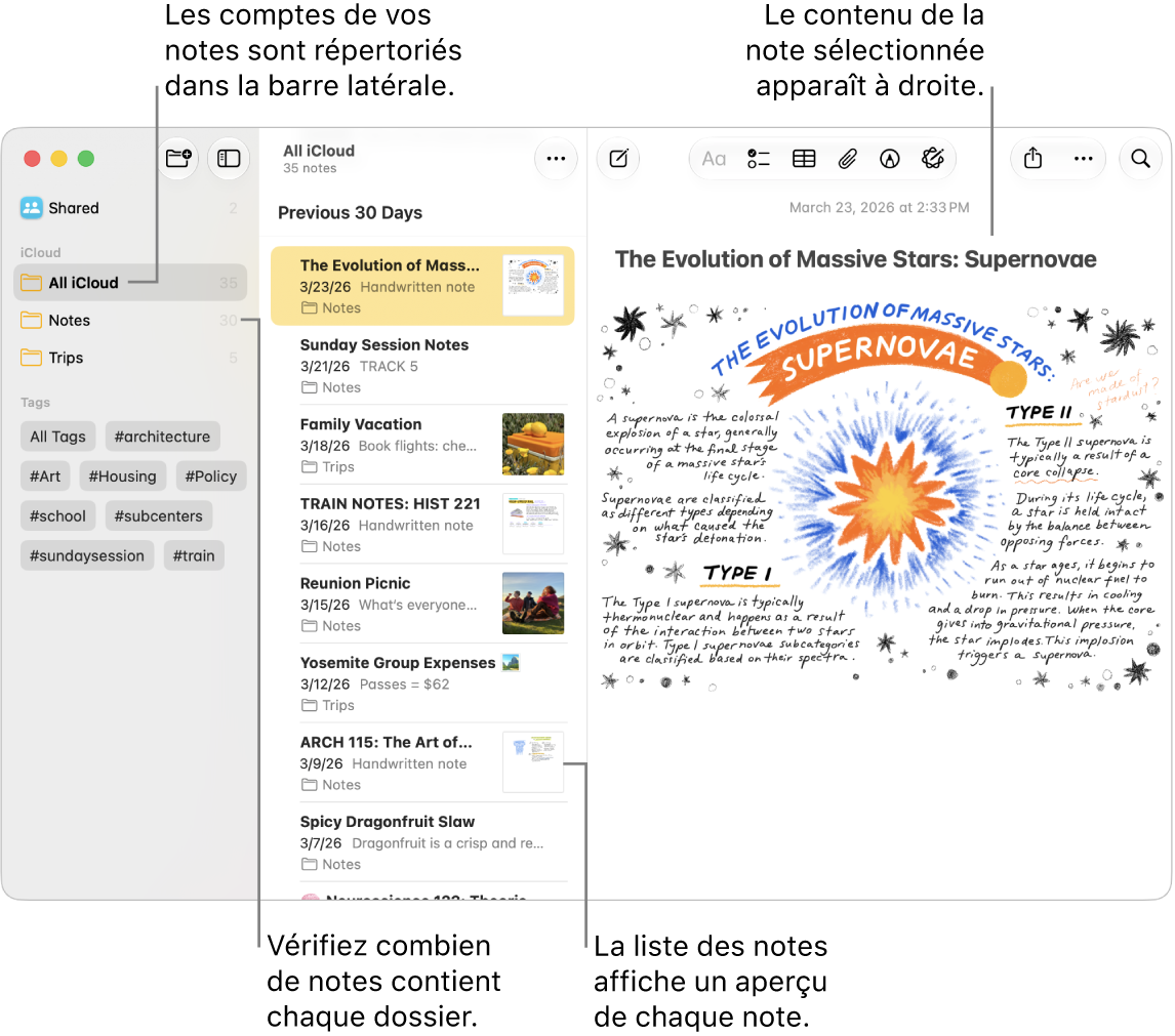 Une fenêtre de l’app Notes sur Mac avec tous les comptes configurés et dossiers répertoriés dans la barre latérale sur la gauche, la liste des notes au milieu avec un aperçu de chaque note et le contenu de la note sélectionnée sur la droite. Le nombre de notes apparaît à côté de chaque dossier.