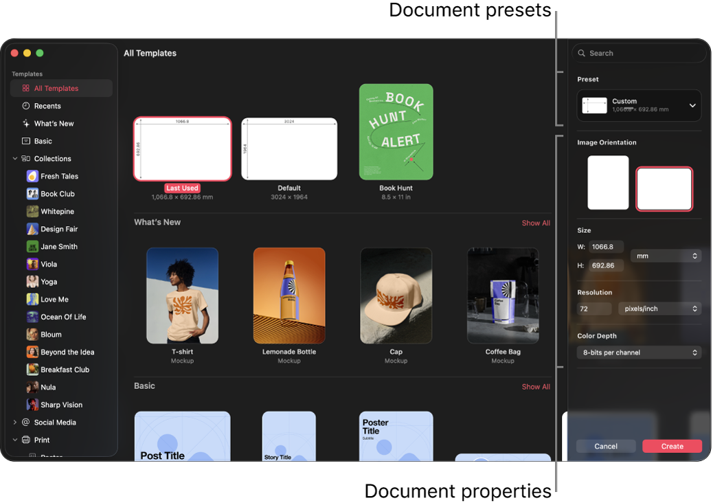 The document browser