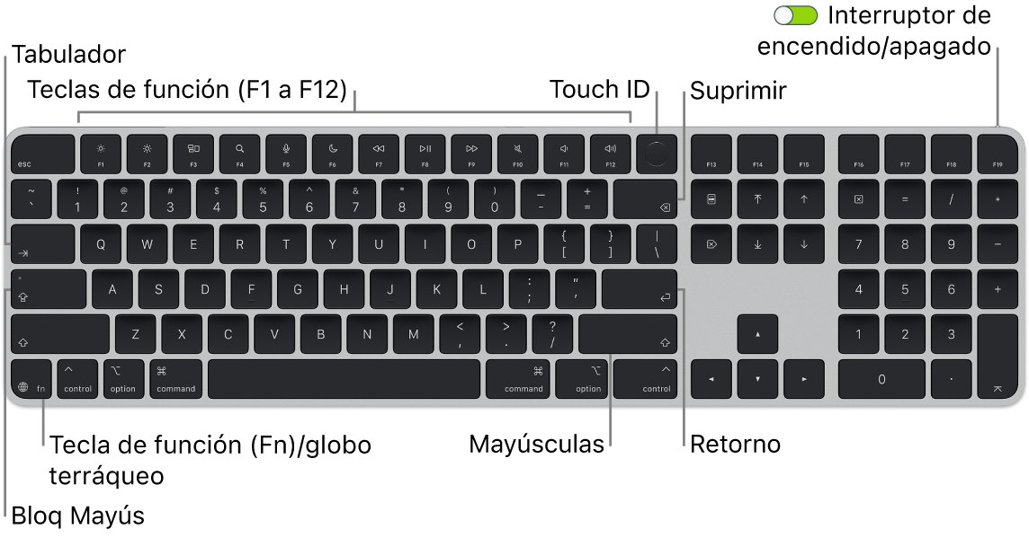 El Magic&nbsp;Keyboard con Touch&nbsp;ID y teclado numérico, con la fila de teclas de función y el sensor Touch&nbsp;ID en la parte superior y la tecla de función (Fn)/globo terráqueo en la parte inferior izquierda.