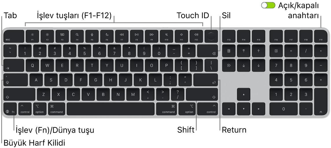 En üstte Touch ID ile işlev tuşları sırasını ve sol altta İşlev (Fn)/Dünya tuşunu gösteren Touch ID ve Sayısal Tuş Takımı özellikli Magic Keyboard.