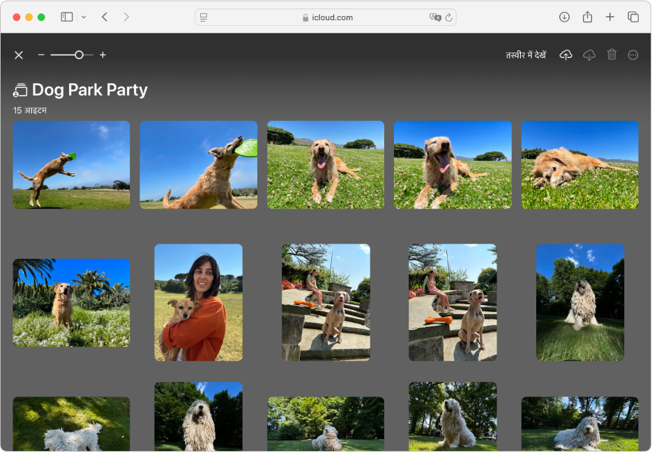 iCloud.com पर Apple आमंत्रण का शेयर किया गया ऐल्बम जो कुत्तों की तस्वीरें दिखा रहा है।