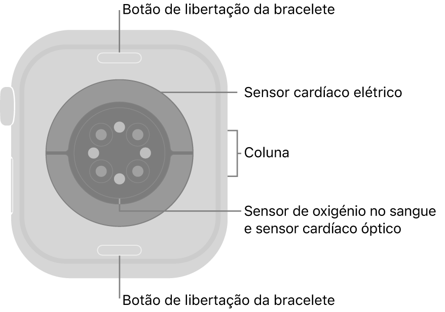 Apple&nbsp;Watch&nbsp;Series&nbsp;10 visto de trás com os botões de libertação da bracelete na parte superior e na parte inferior, os sensores cardíacos elétricos, os sensores cardíacos óticos e os sensores de oxigénio no sangue ao meio e a coluna na parte lateral.