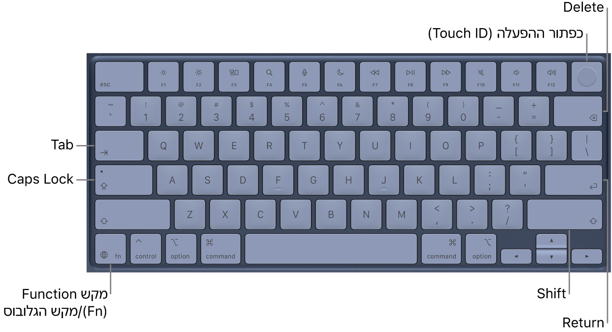 מקלדת ה-MacBook Neo, מציגה את הפקד המשולב הכולל את כפתור ההפעלה ואת כפתור ה-Touch ID משמאל למעלה, את מקש הפונקציה מימין למטה ואת המקשים Tab, ‏Caps Lock, ‏Shift, ‏Delete ו-Enter.