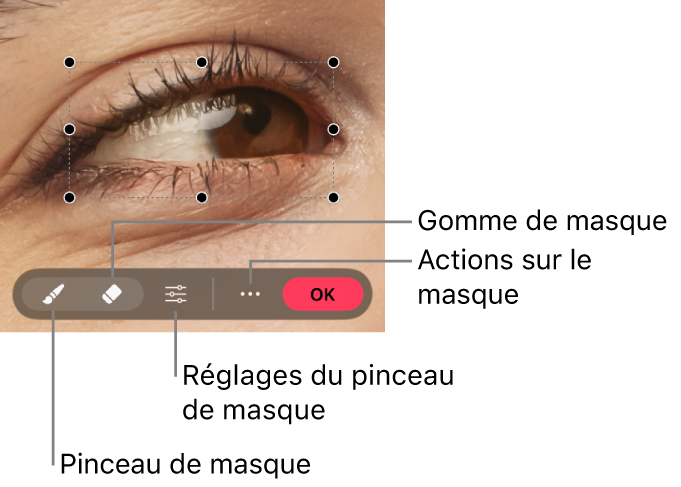 Un masque bitmap sur une photo, avec la barre d’outils visible.