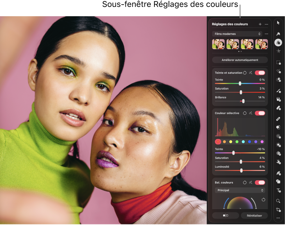 Une photo dans la zone de travail, avec la sous-fenêtre «&nbsp;Réglages des couleurs&nbsp;» ouverte et affichant les commandes permettant de modifier divers paramètres de couleur et d’exposition.