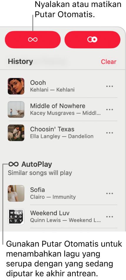 Riwayat terlihat di pojok kanan atas Apple Music. Bagian Putar Otomatis juga ditampilkan.