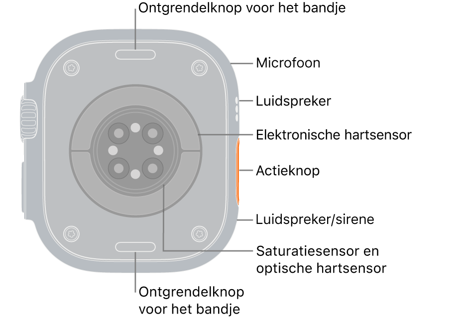 De achterkant van de Apple&nbsp;Watch&nbsp;Ultra&nbsp;3, met aan de boven- en onderkant de ontgrendelknoppen van het bandje. Aan de zijkant bevinden zich een microfoon, een luidspreker, de elektrische hartslagsensor, de actieknop, een luidsprekerpoort waaruit het geluid van de sirene komt, de saturatiesensoren en de optische hartsensoren.