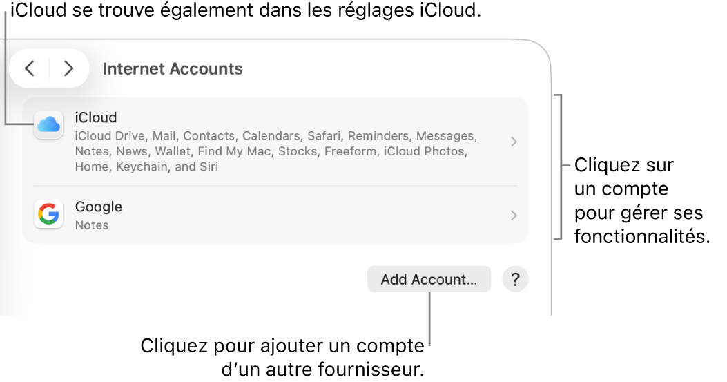 Les réglages «&nbsp;Comptes Internet&nbsp;» avec une liste des comptes configurés sur le Mac.