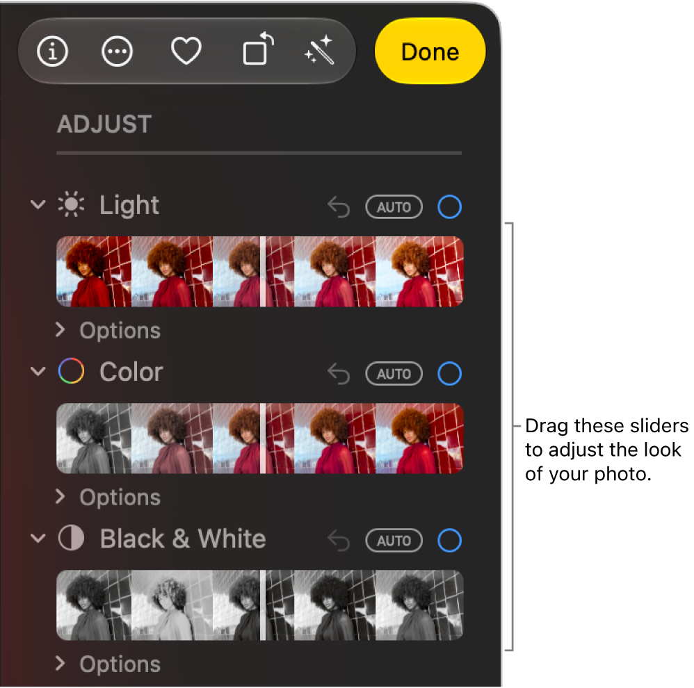 The Light, Color, and Black & White sliders in the Adjust pane. An Auto button appears above each slider.