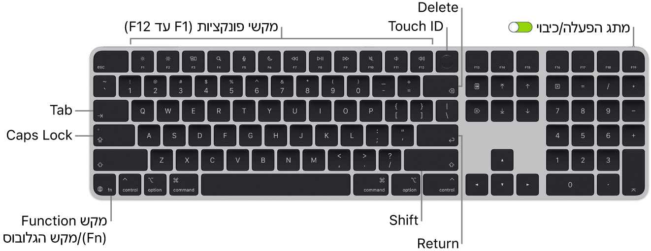 ה-Magic Keyboard עם ה-Touch ID ומשטח ספרות מציגה את שורת מקשי הפונקציה ואת ה-Touch ID לאורך החלק העליון, ואת מקש הפונקציה (Fn)/גלובוס למטה בצד.