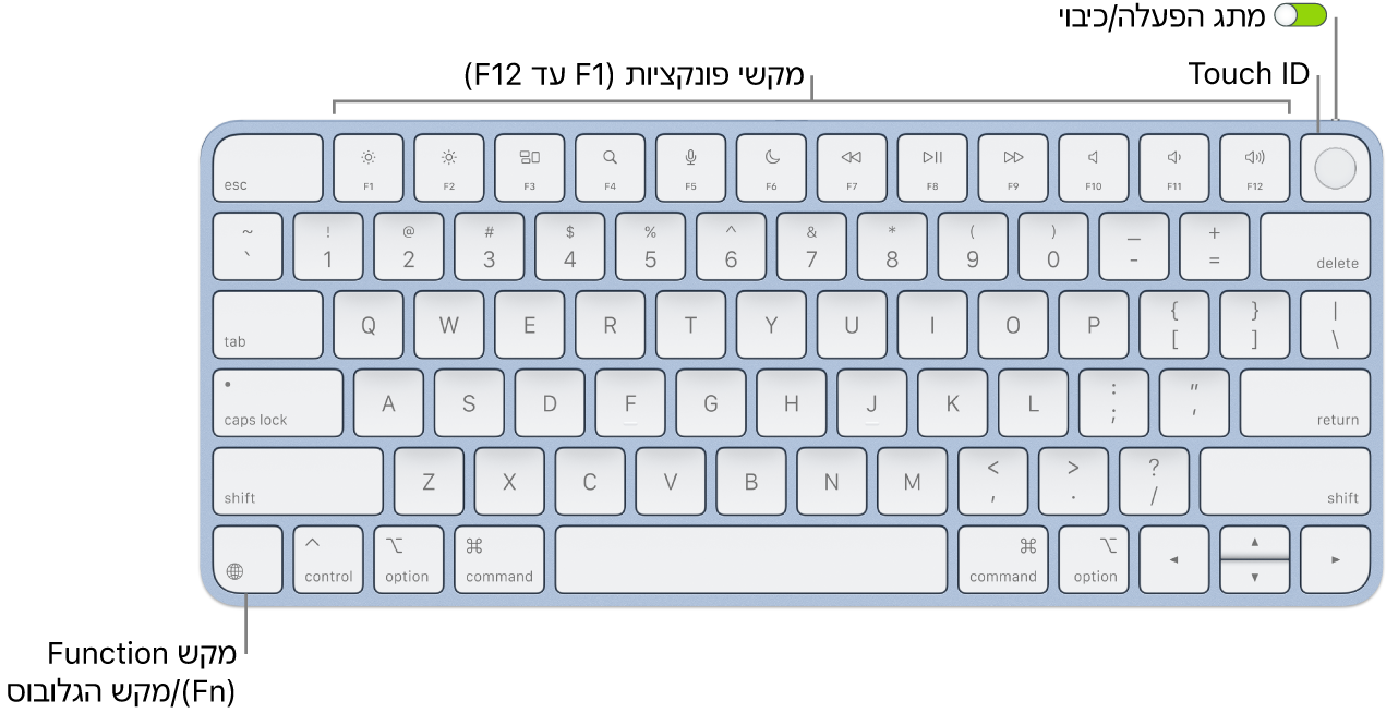 ה-Magic Keyboard עם ה-Touch ID מציגה את שורת מקשי הפונקציה וה-Touch ID לאורך החלק העליון, ואת מקש הפונקציה (Fn)/גלובוס מימין למטה.
