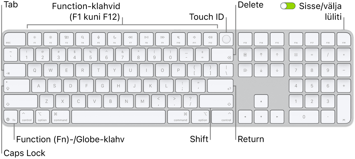 Touch ID-ga ja numbriklahvistikuga Magic Keyboard, mille ülaosas on funktsiooniklahvide rida ja Touch ID ning klahv Function (Fn)/Globe klahvist Delete paremal.