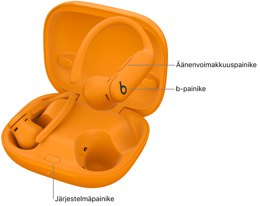 Kuva Powerbeats&nbsp;Pro&nbsp;2 ‑kuulokkeista, joissa näkyy b-painikkeen sijainti kuulokkeissa ja järjestelmäpainikkeen sijainti latauskotelossa.