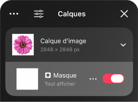 Un calque de masque dans la barre latérale Calques
