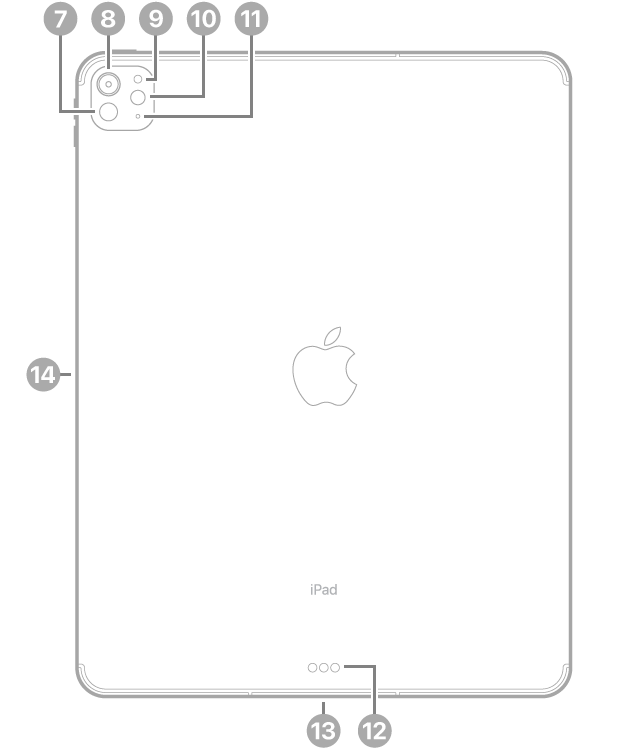 La vue de dos de l’iPad&nbsp;Pro, avec des légendes liées au LIDAR, à la caméra arrière, au capteur de lumière ambiante, au flash et au micro en haut à gauche, au Smart&nbsp;Connector et au connecteur USB-C en bas au centre, ainsi qu’au connecteur magnétique pour l’Apple&nbsp;Pencil à gauche.