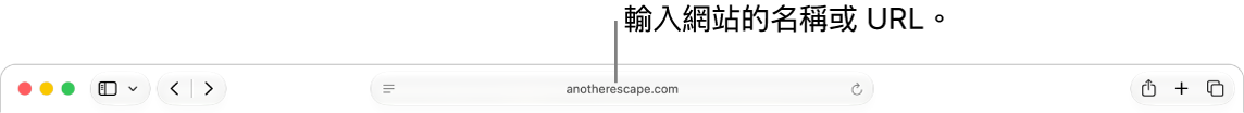 Safari「智慧型搜尋」欄位，你可在其中輸入網站的名稱或 URL。