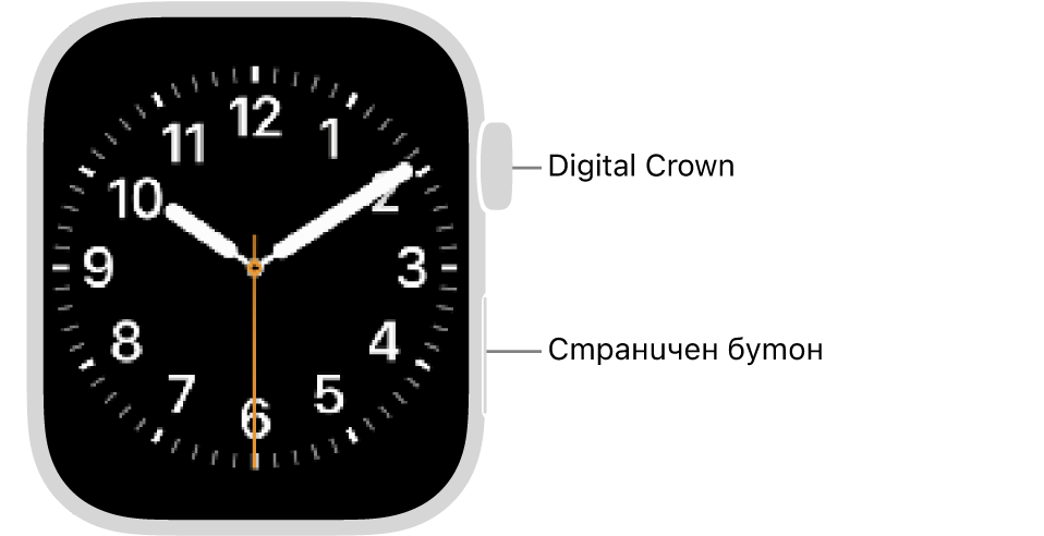 Предната част на Apple&nbsp;Watch с коронката Digital Crown, показана горе от дясната страна на часовника и страничния бутон, показан долу вдясно.