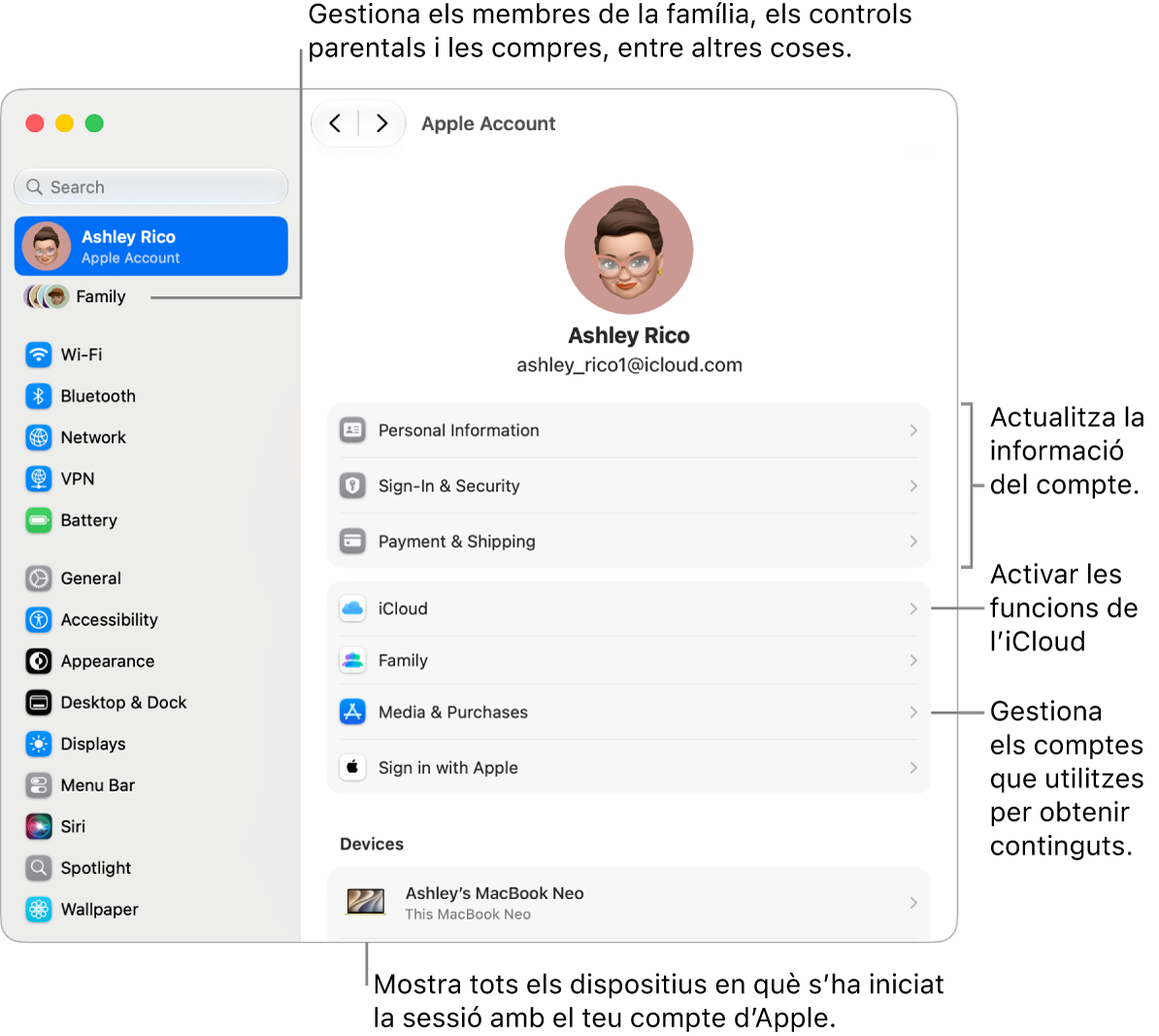 A la configuració del sistema, es veu la secció del compte d’Apple, amb opcions per actualitzar la informació del compte, activar o desactivar les funcions de l’iCloud, administrar els comptes de contingut multimèdia i ajustar la configuració d’“En&nbsp;família”, on pots gestionar els membres de la família, els controls parentals i les compres, entre altres coses.