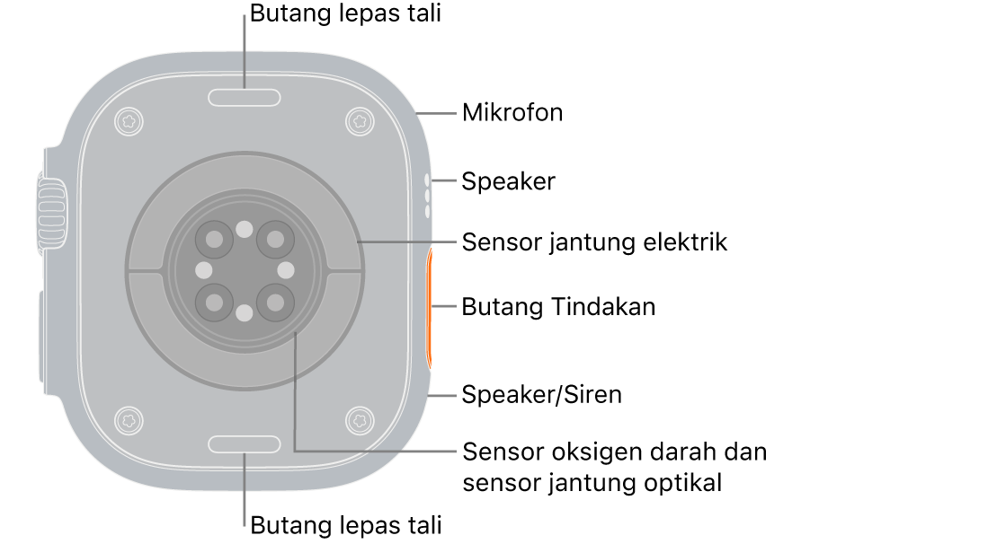 Belakang Apple&nbsp;Watch&nbsp;Ultra 3, dengan butang lepaskan tali di atas dan bawah. Di bahagian sisi ialah mikrofon, speaker, sensor jantung elektrik, butang Tindakan, port speaker dari tempat siren dipancarkan, sensor oksigen darah dan sensor jantung optikal.