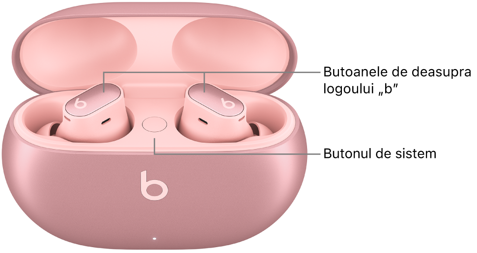 Imagine cu Beats Studio&nbsp;Buds&nbsp;+ afișând locul butoanelor de deasupra logoului „b” de pe căștile intraauriculare și locul butonului de sistem din carcasa de încărcare.