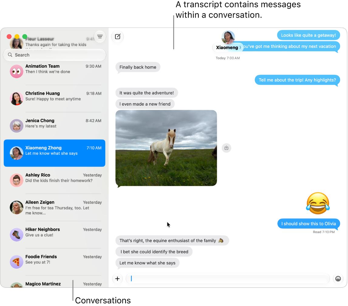The Messages window with conversations in the sidebar and the transcript containing the messages within the conversation.