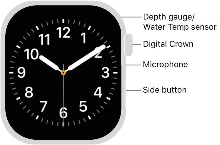 The front of Apple Watch Series 12, with the display showing the watch face, and the Digital Crown, microphone, and side button from top to bottom on the side of the watch.