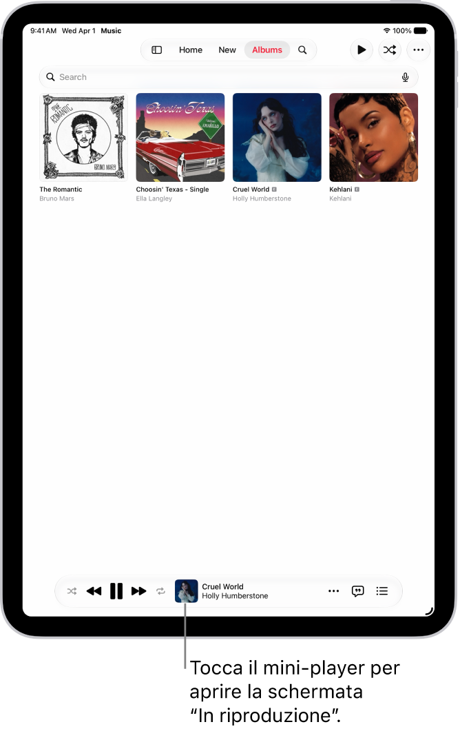 Il pannello Album, con il mini-player vicino alla parte inferiore. Il mini-player mostra il titolo del brano attualmente in riproduzione.