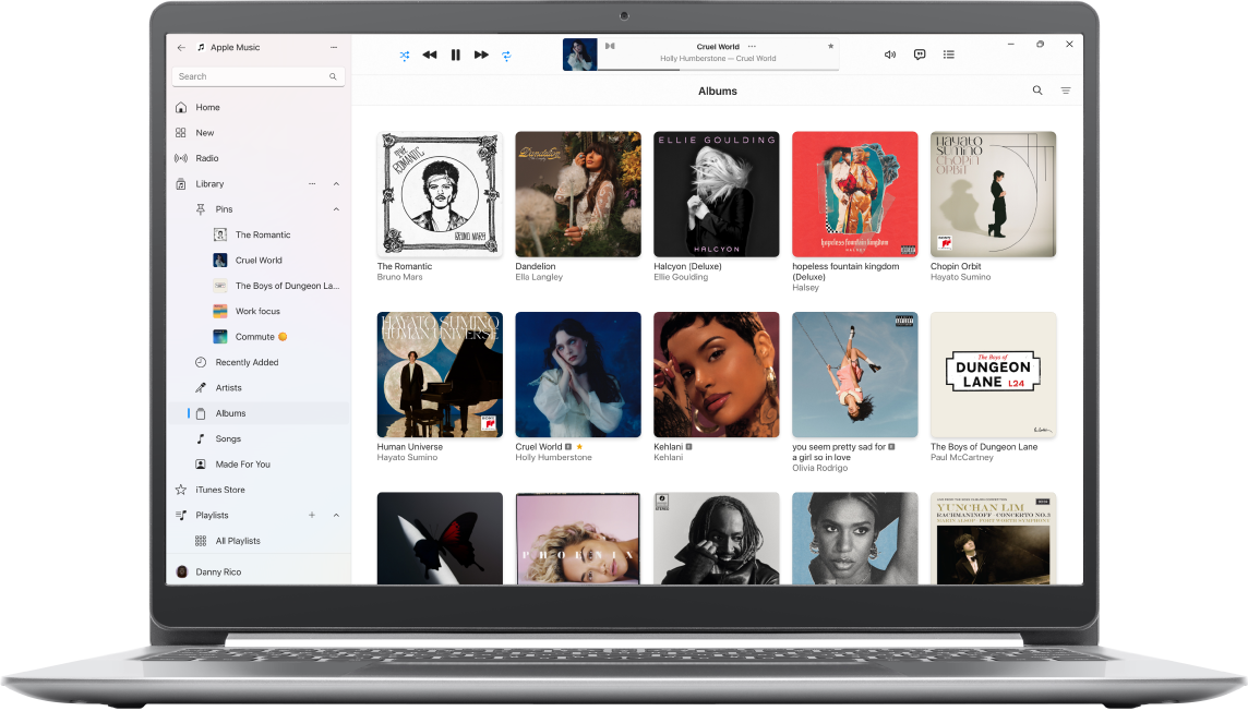 The Apple Music window with a library of albums.