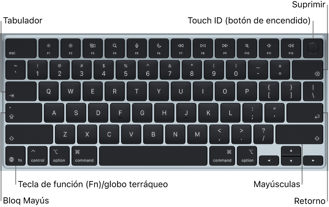 El teclado de la MacBook Air, que muestra el botón Touch&nbsp;ID en el extremo superior derecho, la tecla de función en la esquina inferior izquierda y las teclas Tabulador, Bloq&nbsp;Mayús, Mayús, Suprimir y Retorno.