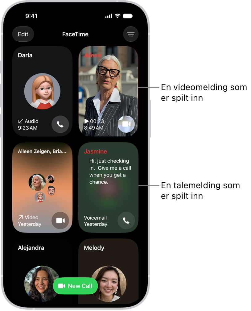 FaceTime-anropsloggen, som viser en foreslått kontakt, en videomelding, en telefonsvarerbeskjed og en gruppesamtale med video i FaceTime.